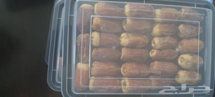 تمر صقعي فاخر للبيع64542345590401110