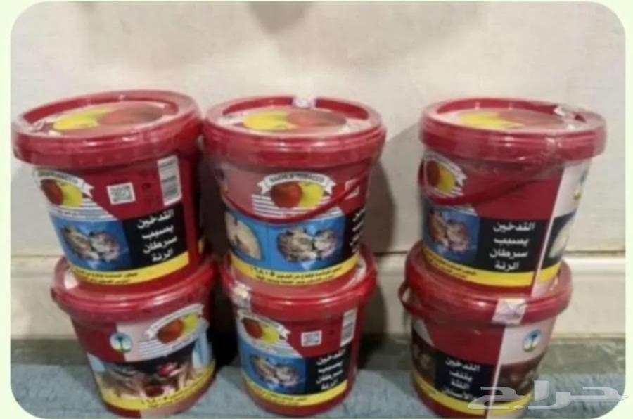 Two new date palms64535471490179110