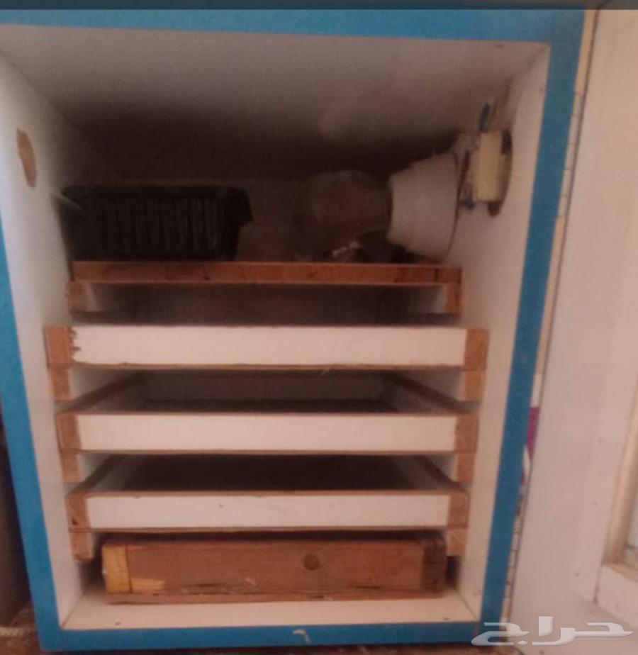 Incubator for sale64543506610178110