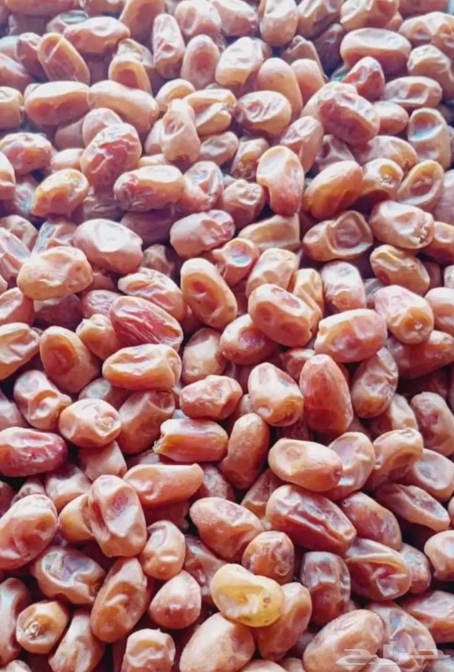 عندي خلاص للبيع الكلو 5ريال اتواصل وتس وتصال64537379832194110