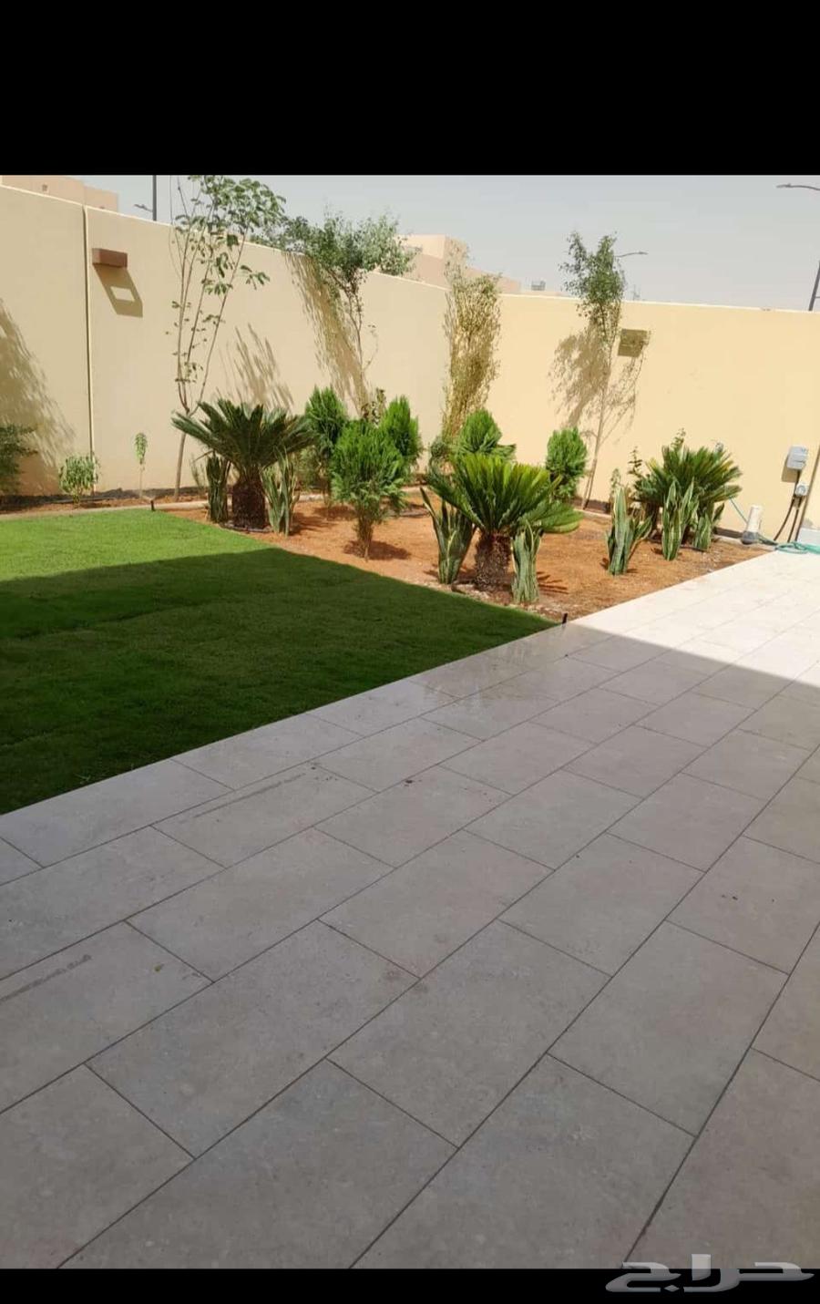 التواصل وتس او جوال64446882871937110