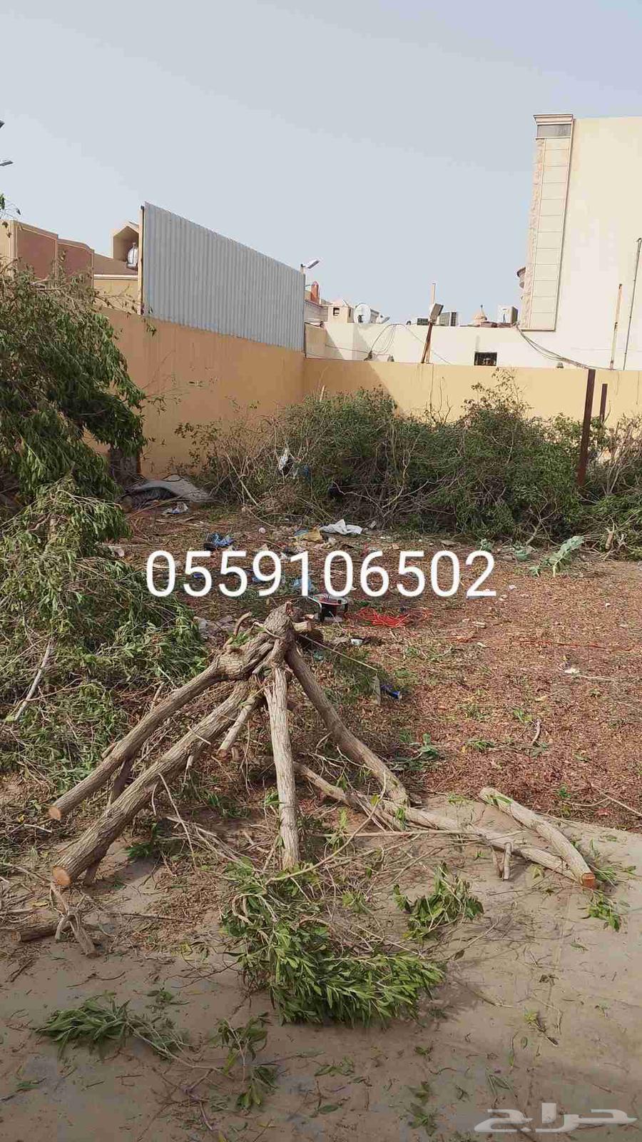 نحل قليلا نظيف64237808152962114