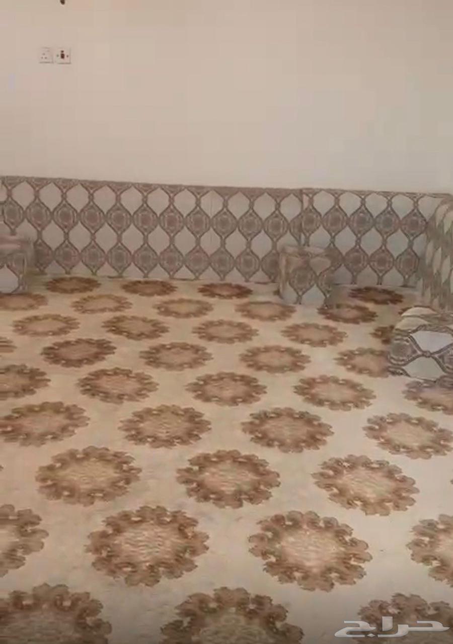 Cushions for sale, clean (without cover)64540181333249114