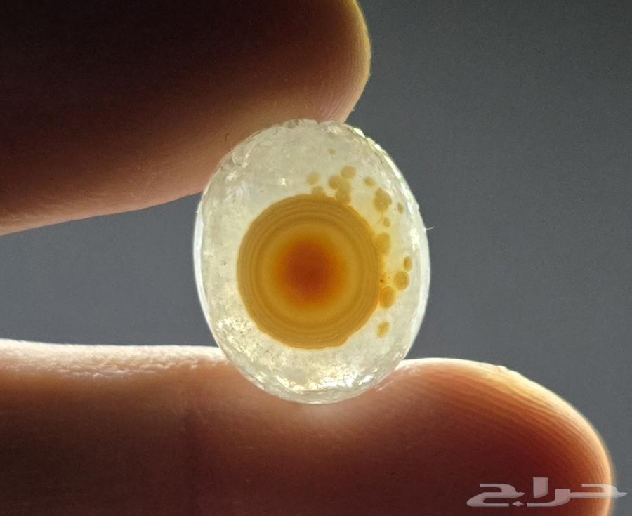 نوادر السليماني الهندي الكرستالي64536473662851111