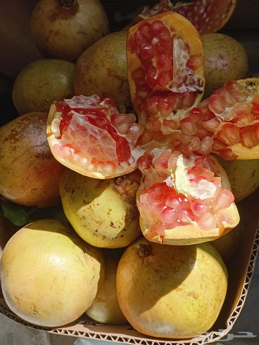 رمان بيده للبيع مع توصيل مجاني للمنزل64540865261442112