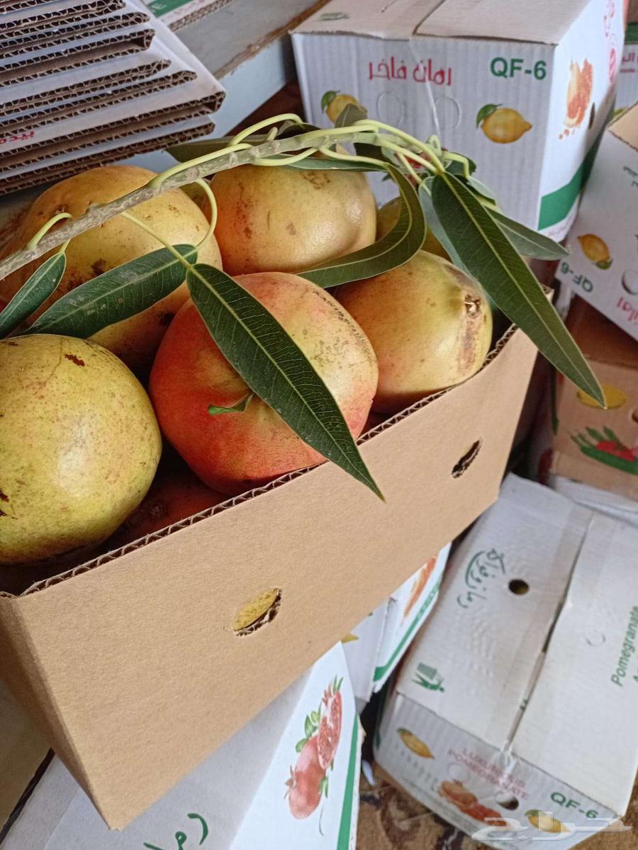 رمان بيده للبيع مع توصيل مجاني للمنزل64540865261442114