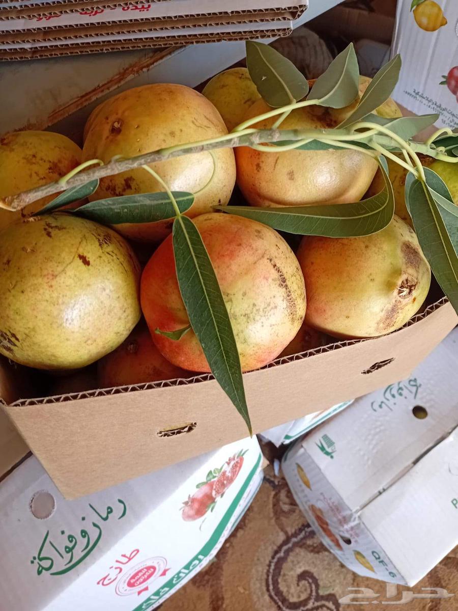 رمان بيده للبيع مع توصيل مجاني للمنزل64540865261442113