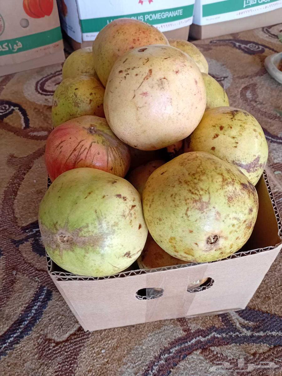 رمان بيده للبيع مع توصيل مجاني للمنزل64540865261442111