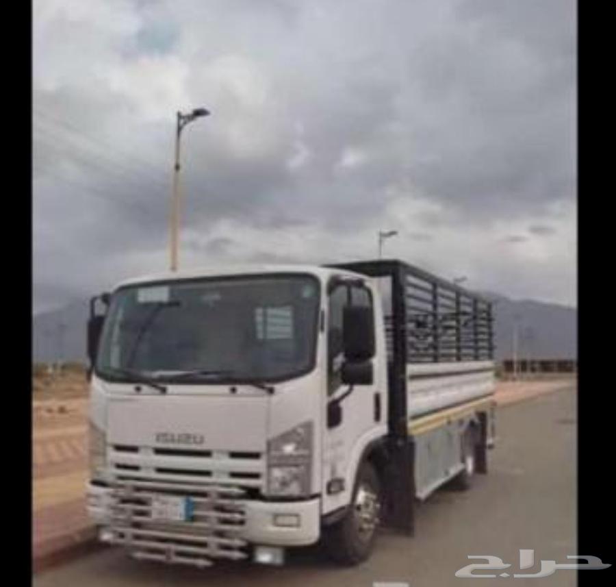 دينه دينا للنقل والتوصيل64404028174211110