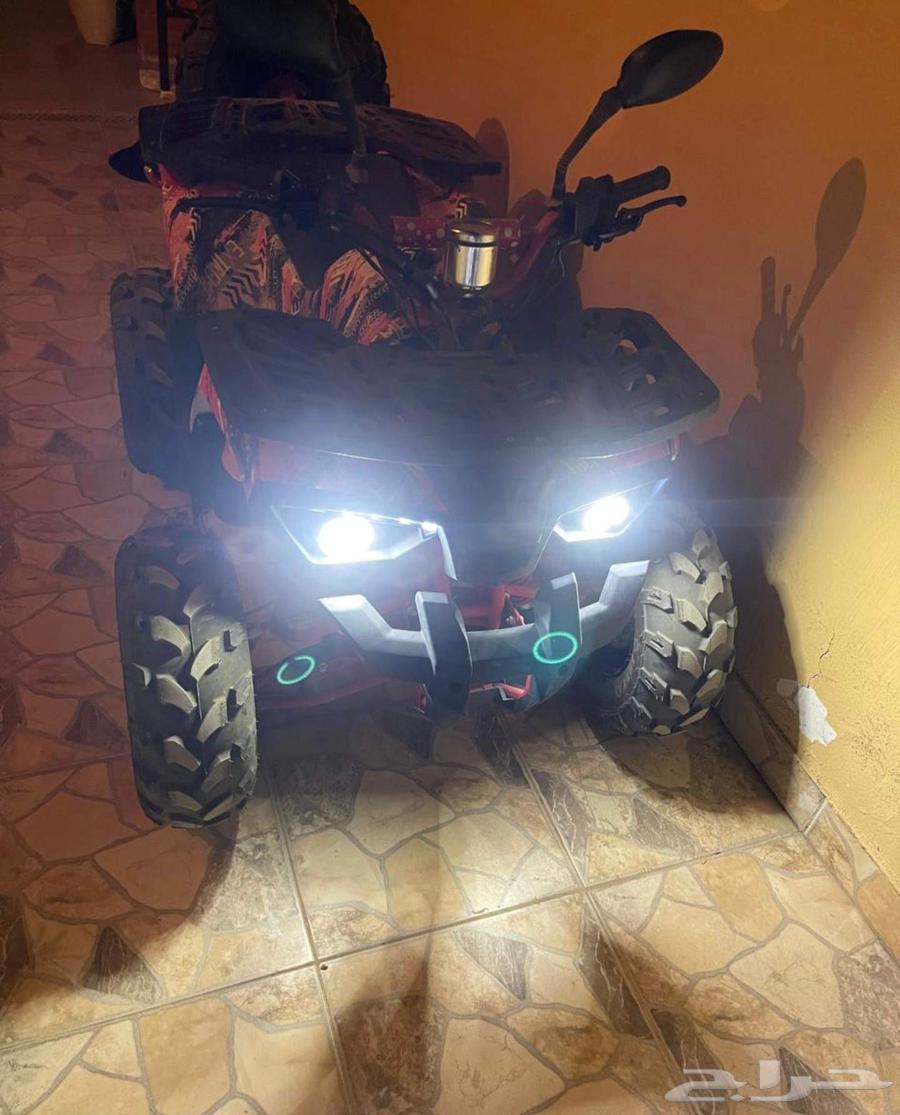 دباب هاواى سى سى دباب 4 كفرات مقاس 125cc موديل 2023 يتحمل و64536348505986110