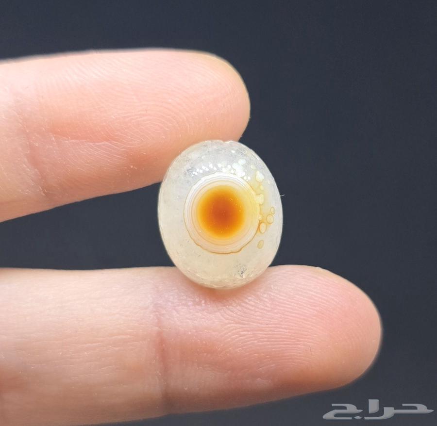 نوادر السليماني الهندي الكرستالي64536473662851110