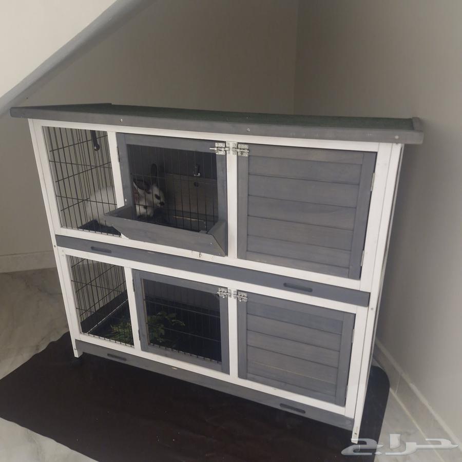 بيت حيوانات اليفه64542969402114113