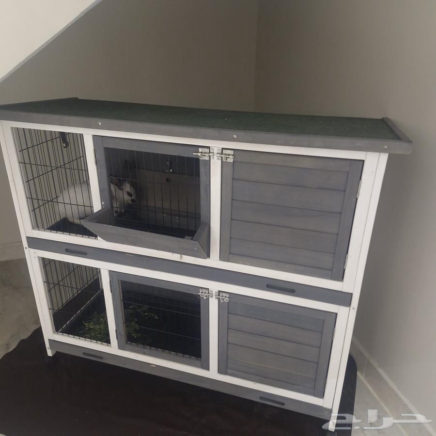 بيت حيوانات اليفه64542969402114114