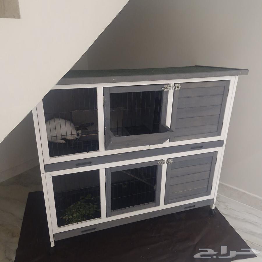 بيت حيوانات اليفه64542969402114111