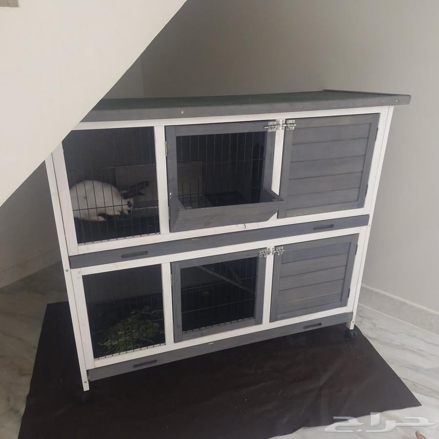 بيت حيوانات اليفه64542969402114110