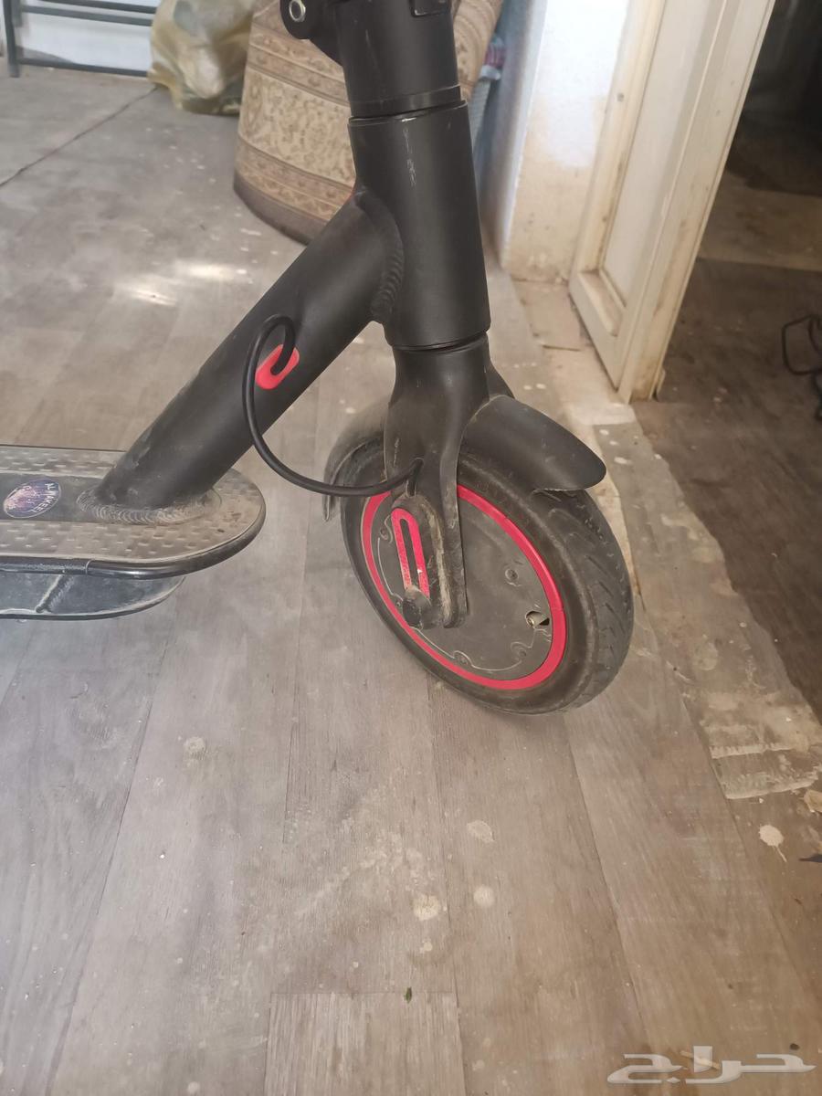 Bicycle and Scooter64537644948865112