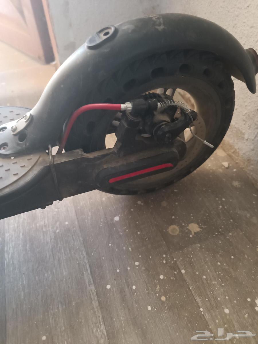 Bicycle and Scooter64537644948865114