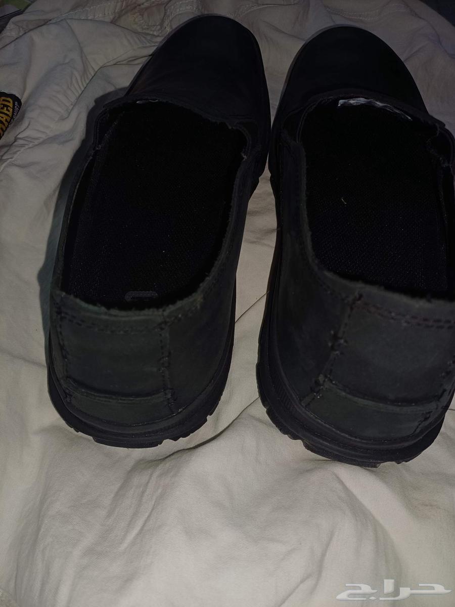 حذاء كات caterpillar للهيقنق والجيم جديد تماما64542927017987112