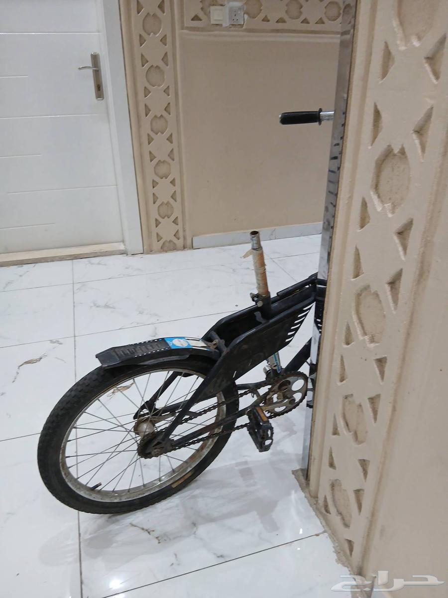 Hello, Sikle Rambo size 20 on sum64541508554499112