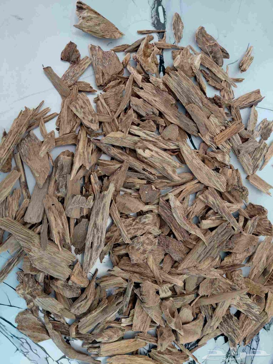 عود كلمنتان بونتيانك طبيعي64479619107201111