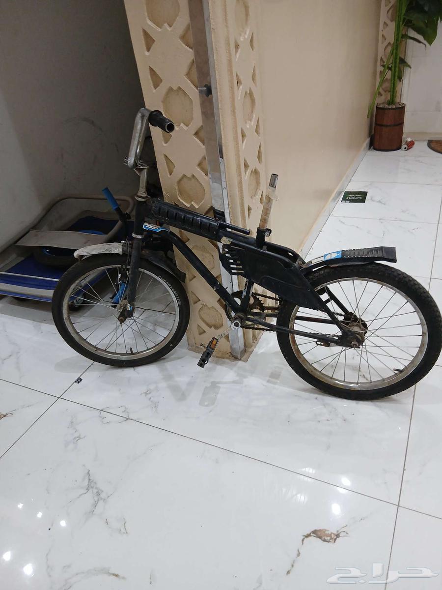 Hello, Sikle Rambo size 20 on sum64541508554499111