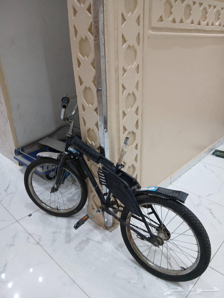 Hello, Sikle Rambo size 20 on sum64541508554499110