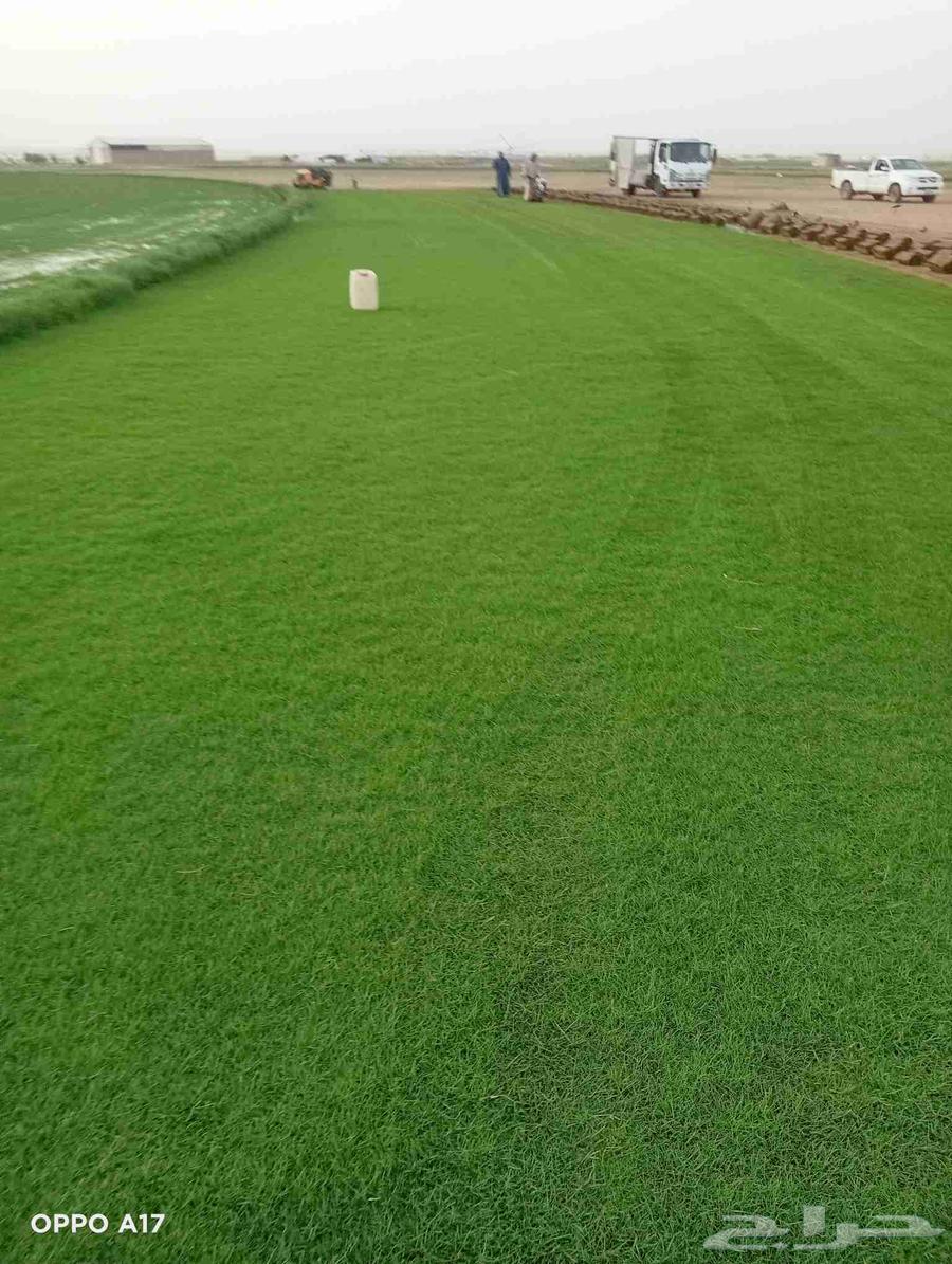 ثيل سئ 2000صافي وطبيعي الموقع الخرج64541007168898111