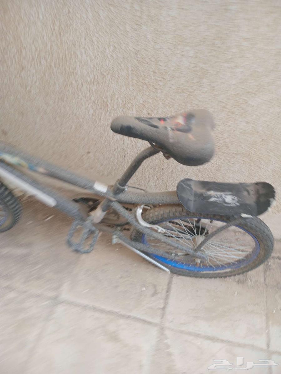 Cobra bicycle 20 inch, price 200, Al-Samel with discount price64542161720833112