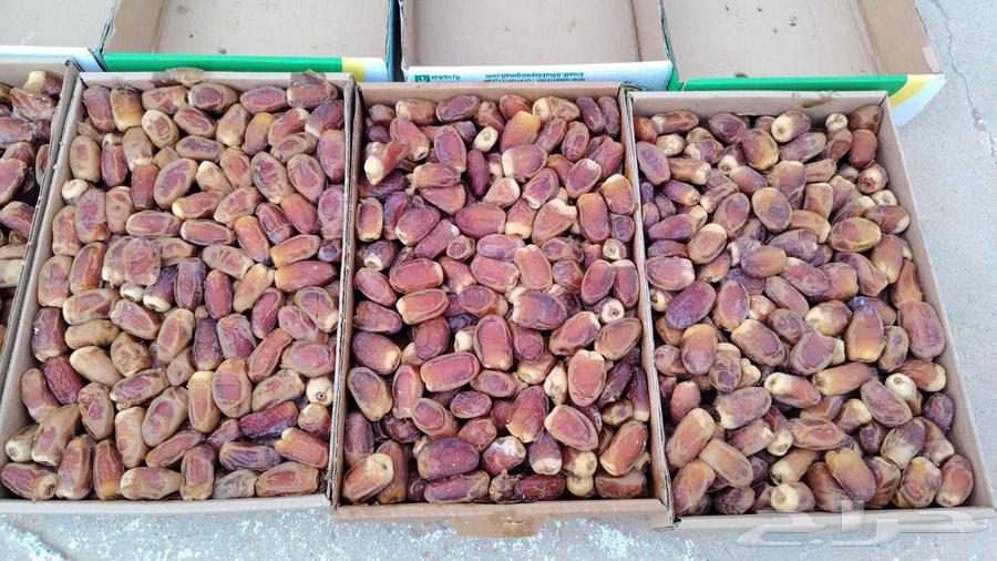 Saqi Dates64537979625217110