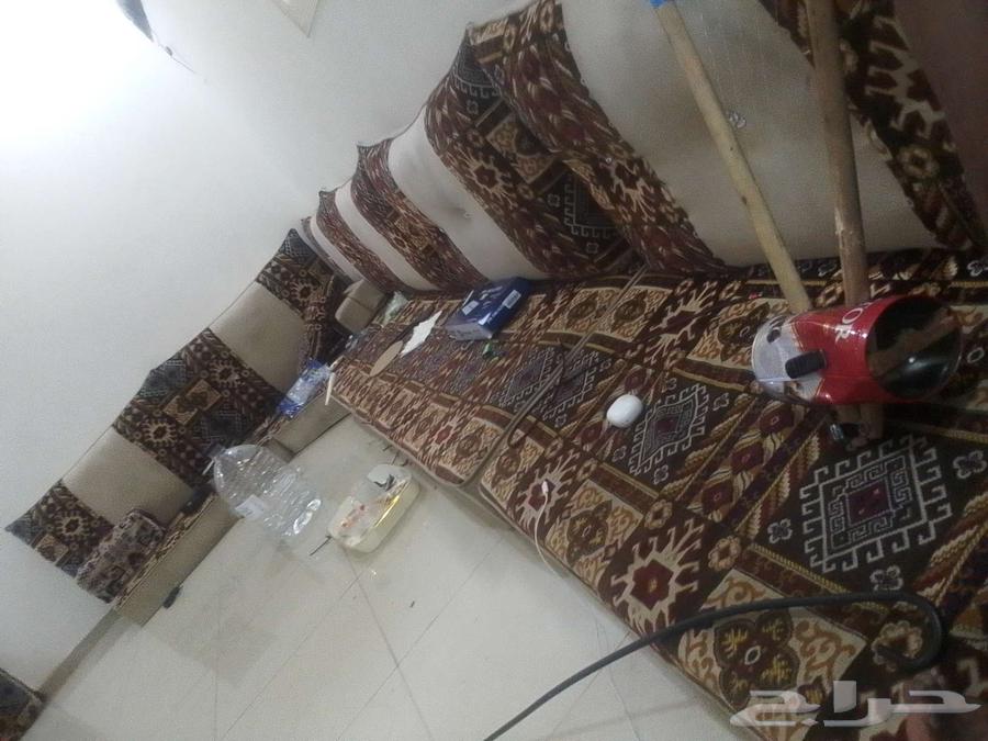 اخو الجديد وللامانه نظيف64540467371650111