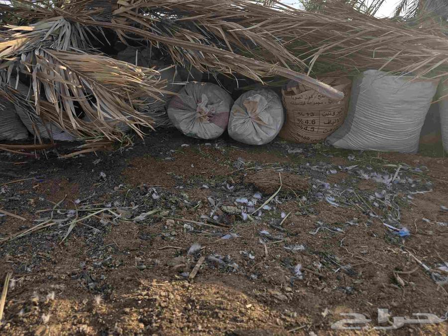 سماد حمام للبيع نظيف64542458317315113