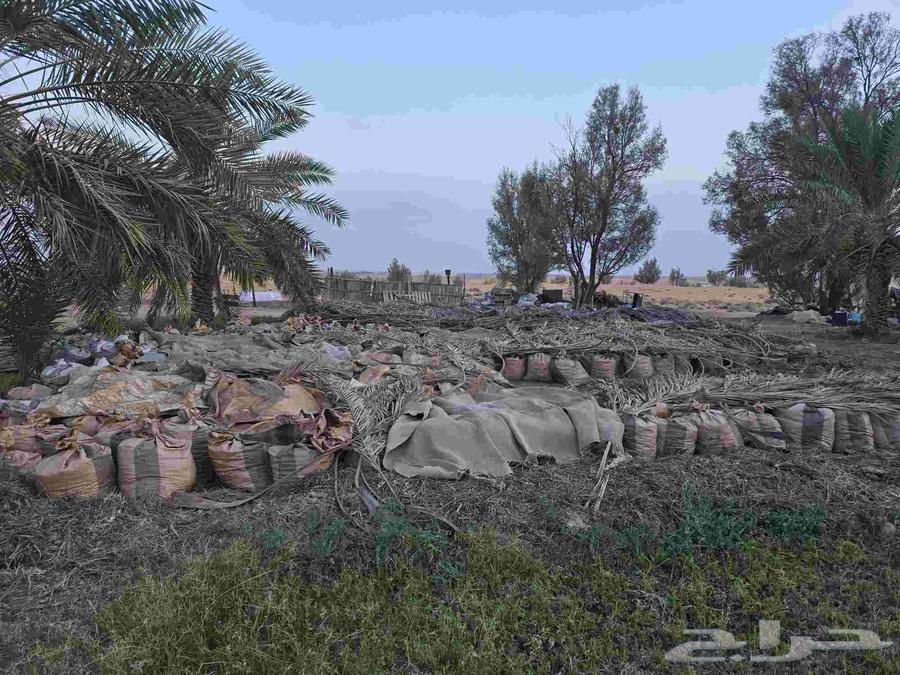 سماد حمام للبيع نظيف64542458317315111