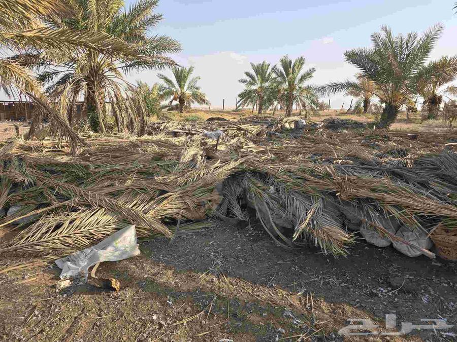 سماد حمام للبيع نظيف64542458317315110