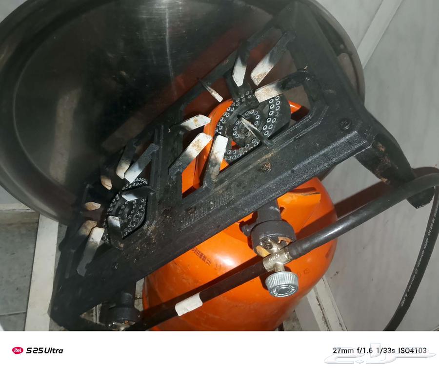 مركب عينين مع راس منظم64538049752834112