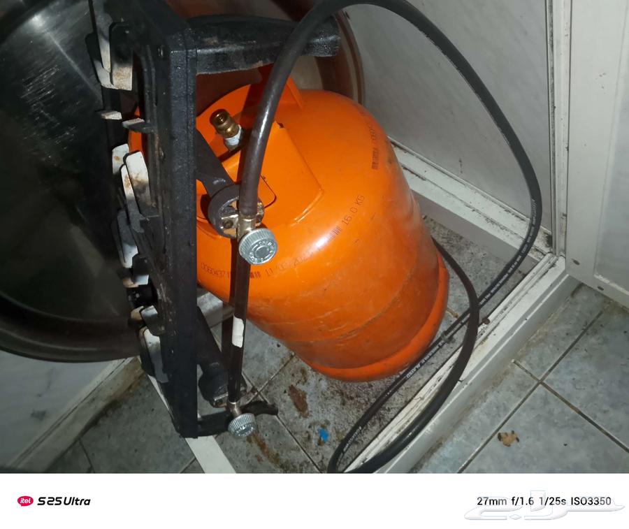 مركب عينين مع راس منظم64538049752834113