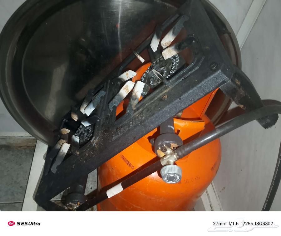 مركب عينين مع راس منظم64538049752834110