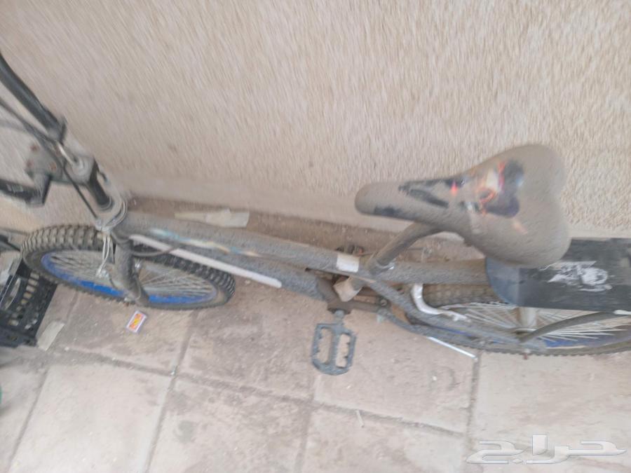 Cobra bicycle 20 inch, price 200, Al-Samel with discount price64542161720833110