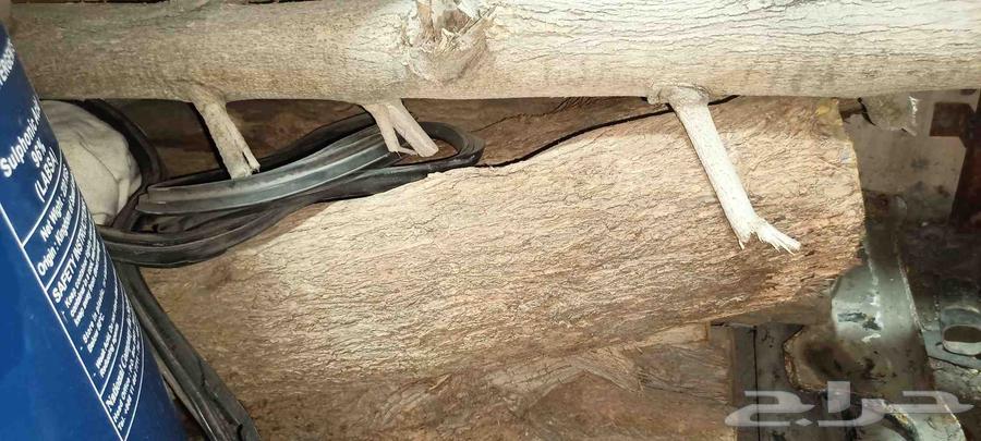 Your project is ready, I have firewood, grills, and tea cups64535212185987114