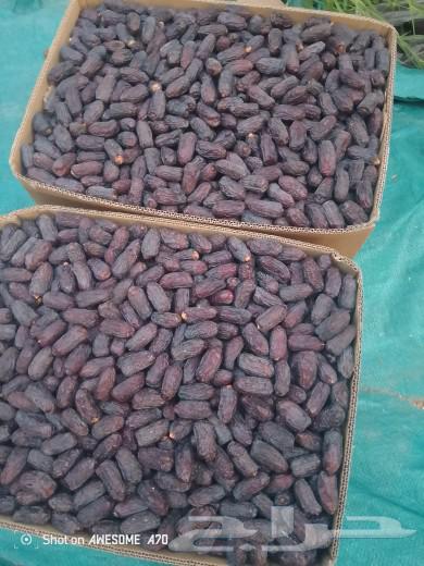 Safawi Dates64543591471875110