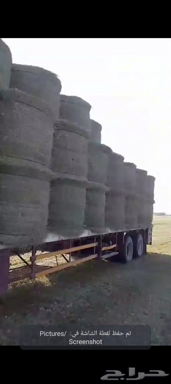 Hello and the mercy of God and His blessings64537895783683112