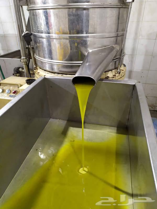 زيت زيتون اردني بكر عصرا أولى على البارد64537338194946111