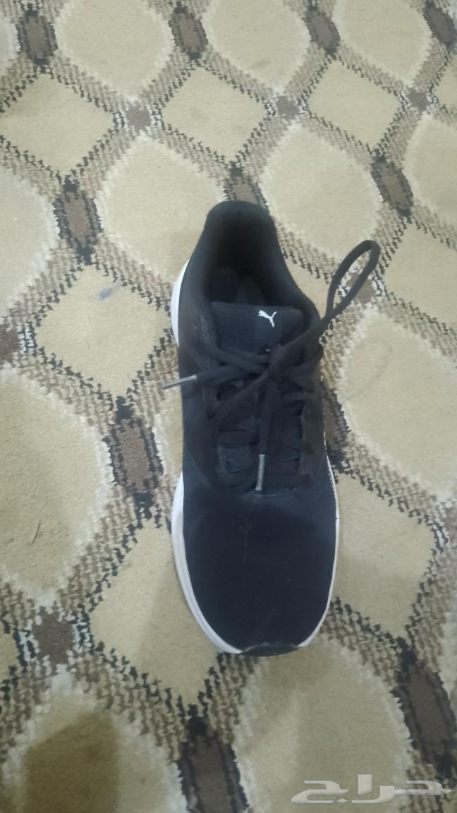 شوز من ماركة البومه جديد مالبستو ولا مره سبب البيع صغير علي64542913025666112