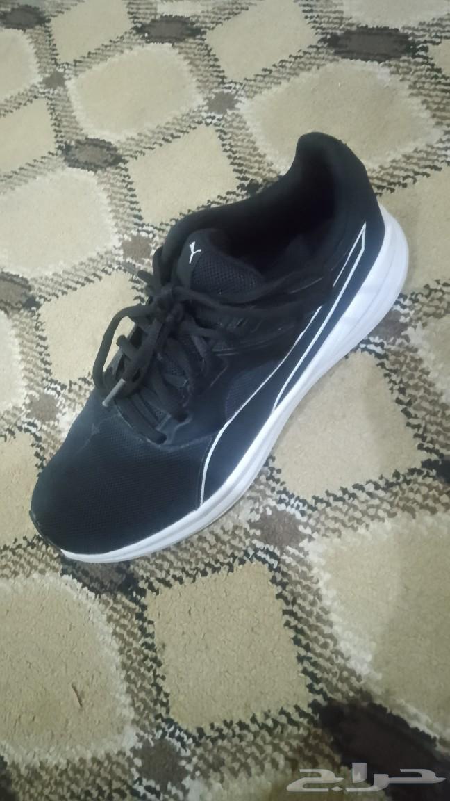 شوز من ماركة البومه جديد مالبستو ولا مره سبب البيع صغير علي64542913025666111