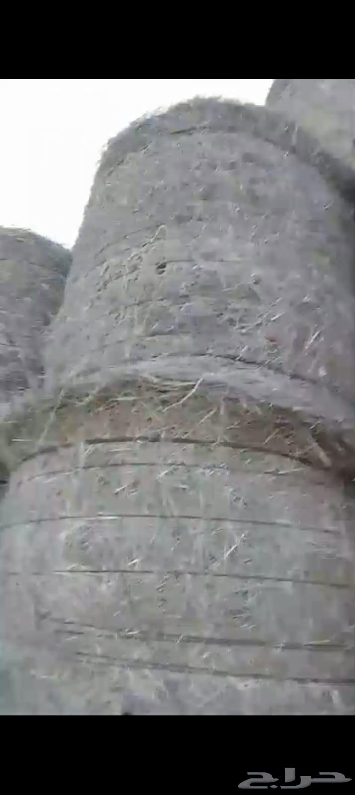 Hello and the mercy of God and His blessings64537895783683111