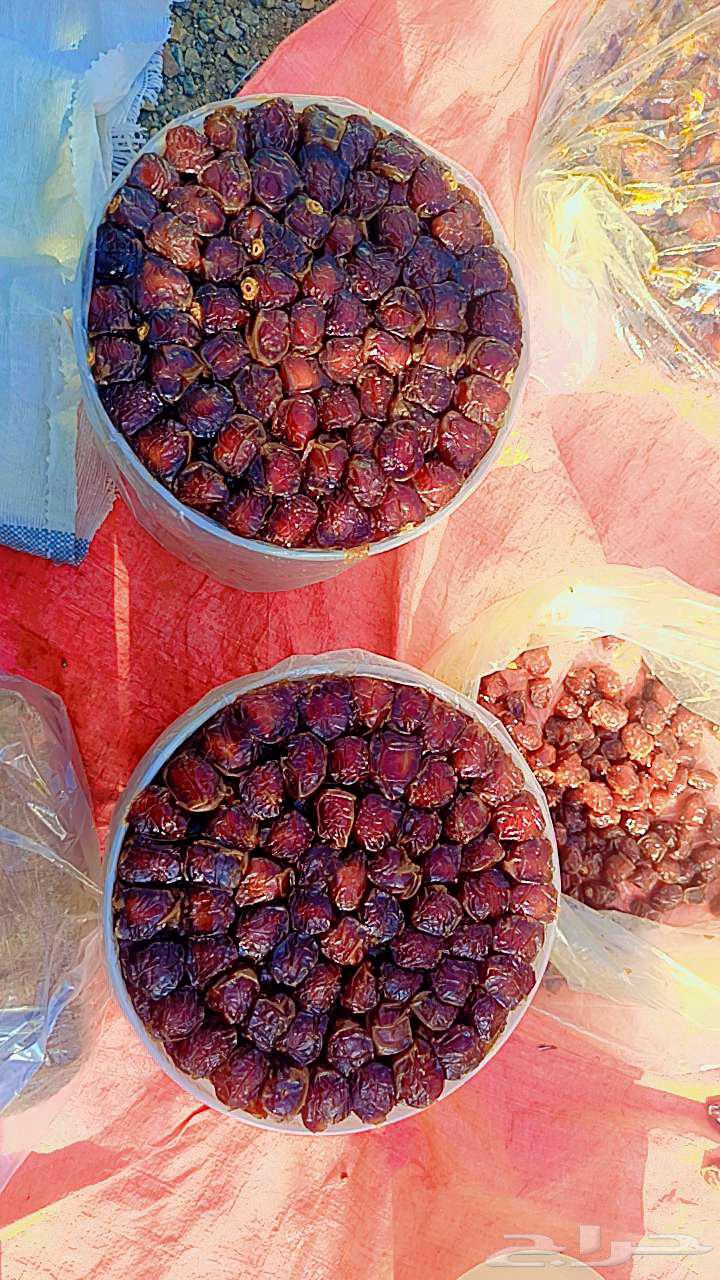 Barni and Khaibari Dates64536585331075110