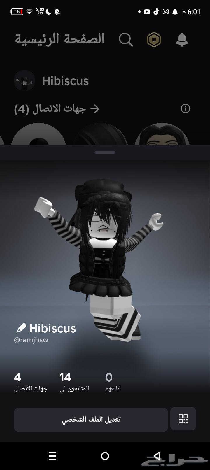 حساب روبلوكس متعوب عليه64536473601281110