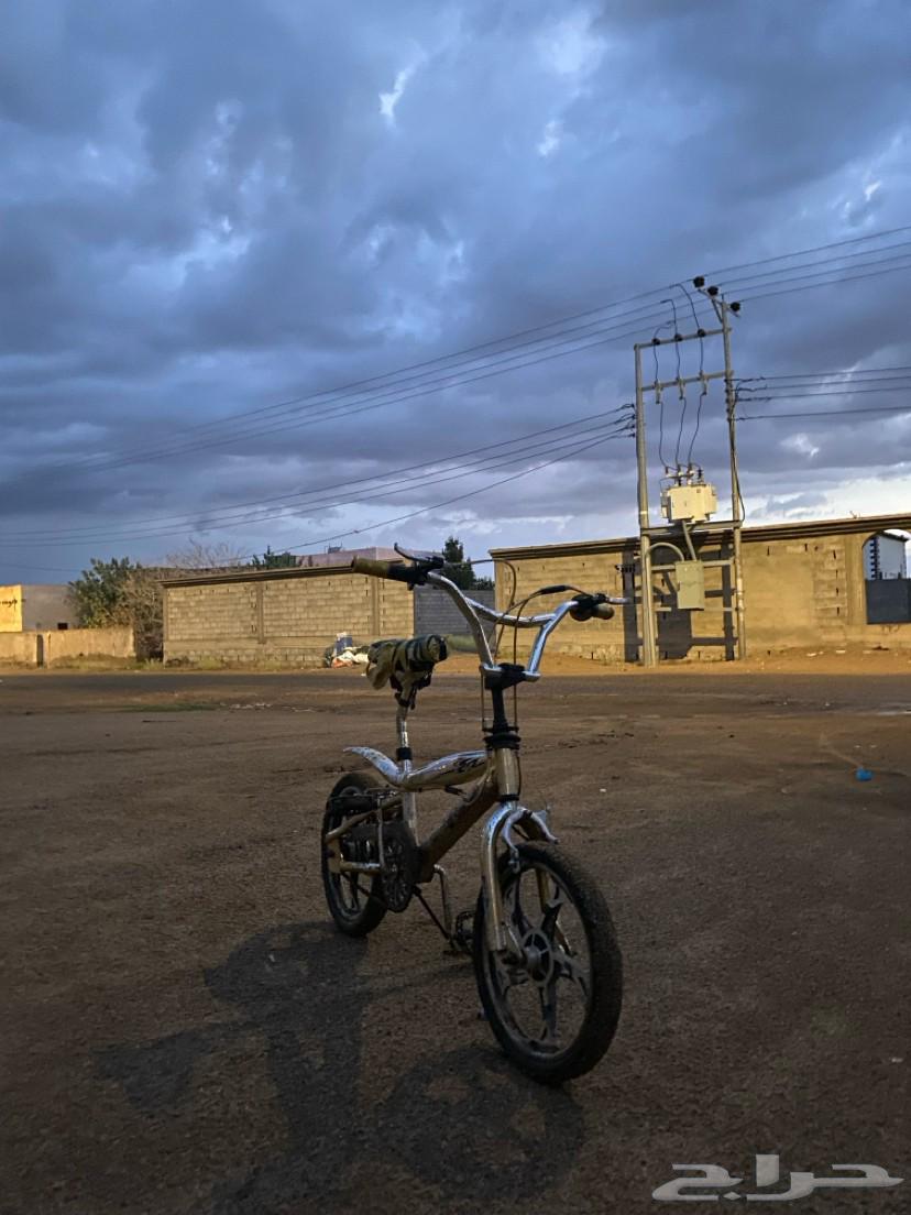 Cobra Cycle64535317066627110