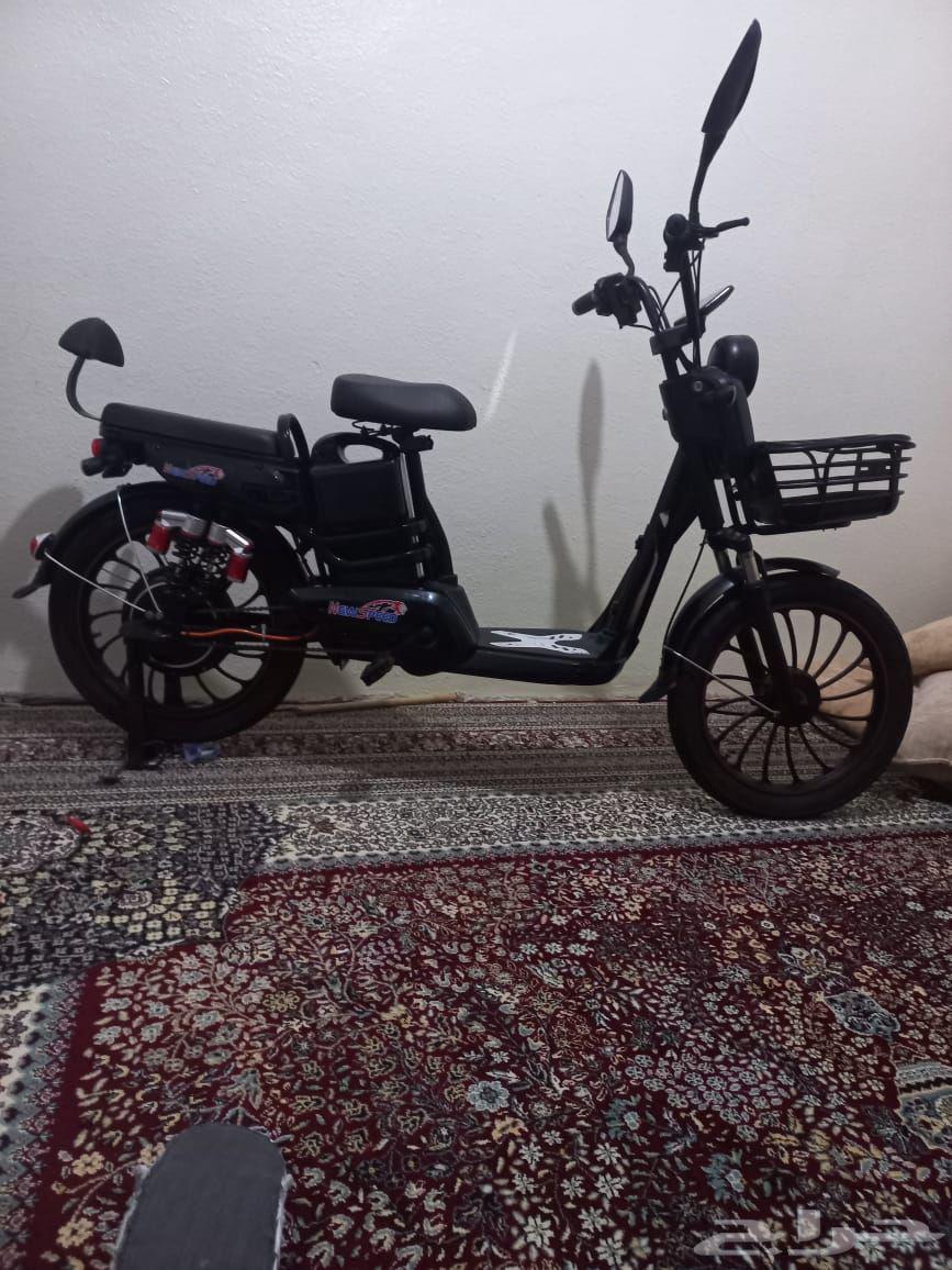 Scooter64535349790466110
