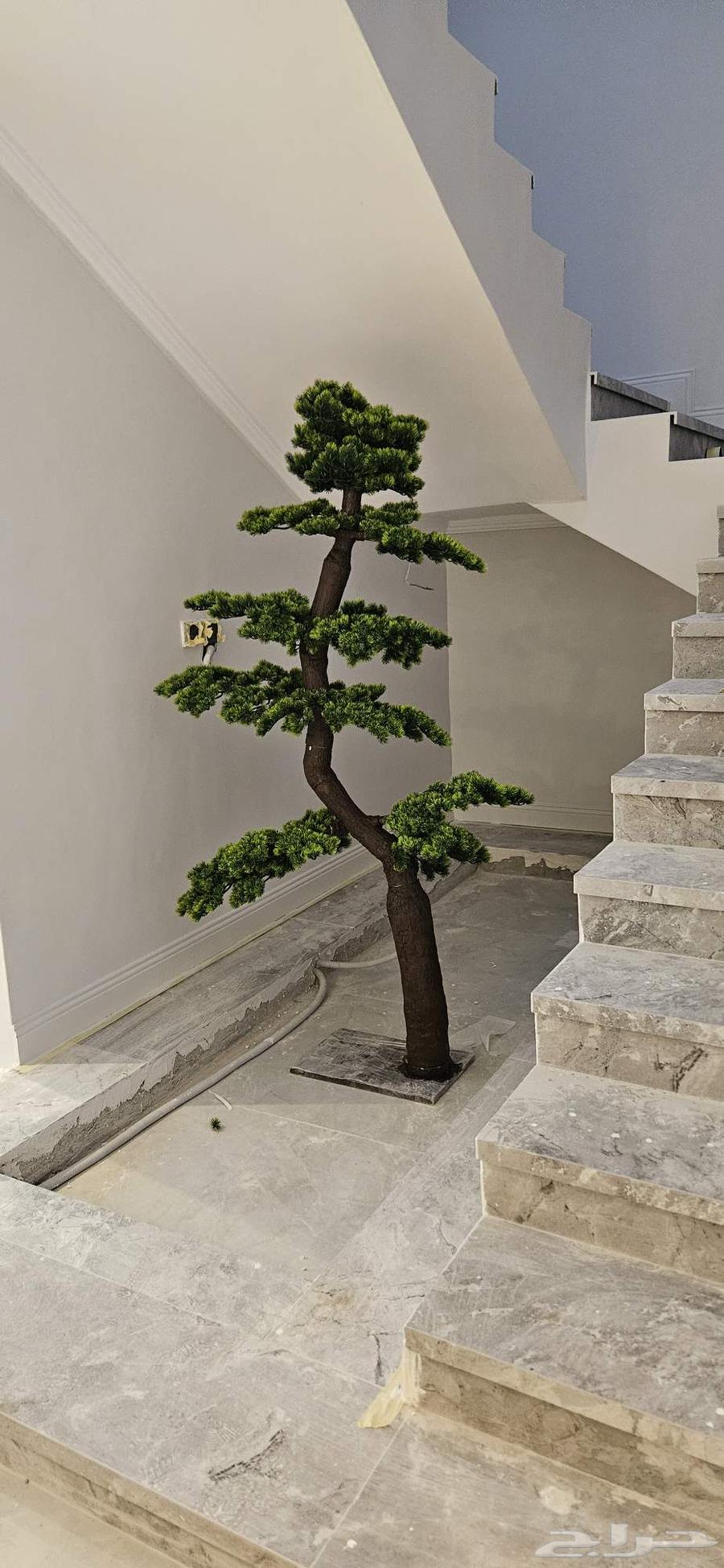 2-meter high-quality artificial bonsai tree, special price for bulk orders64511199256449110