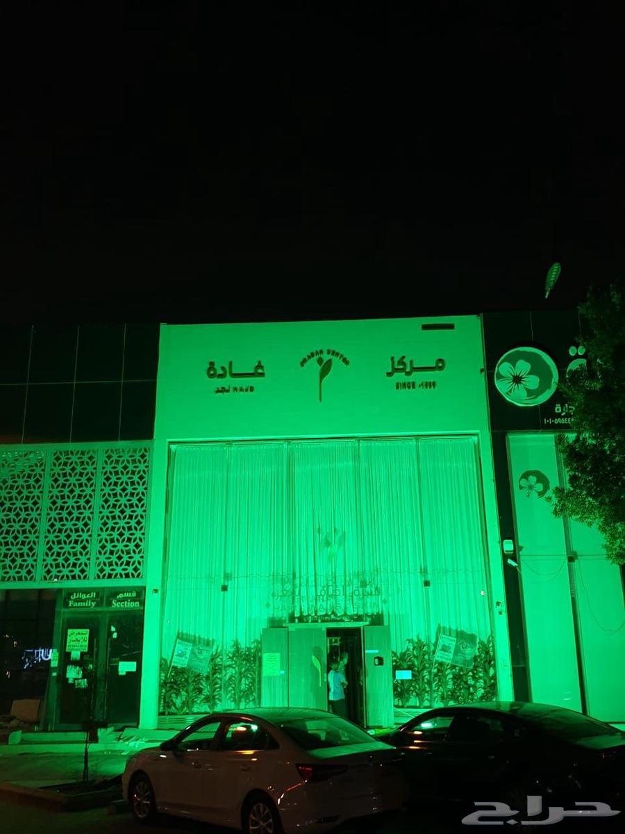 تأجيير كشافات بمناسبة اليوم الوطني64535737079937111